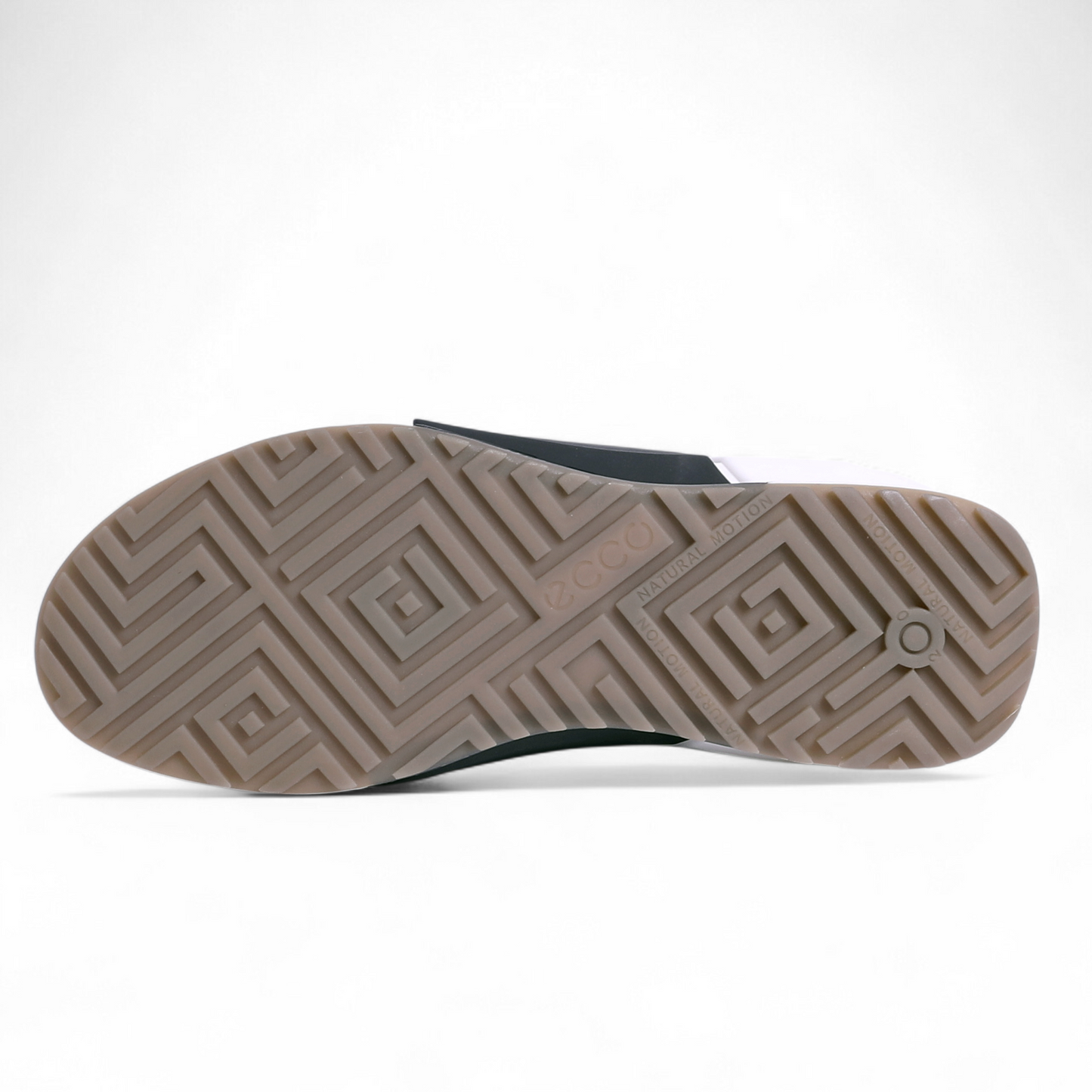 BIOM 20 M Men's Performance Sneaker EC - in Brown