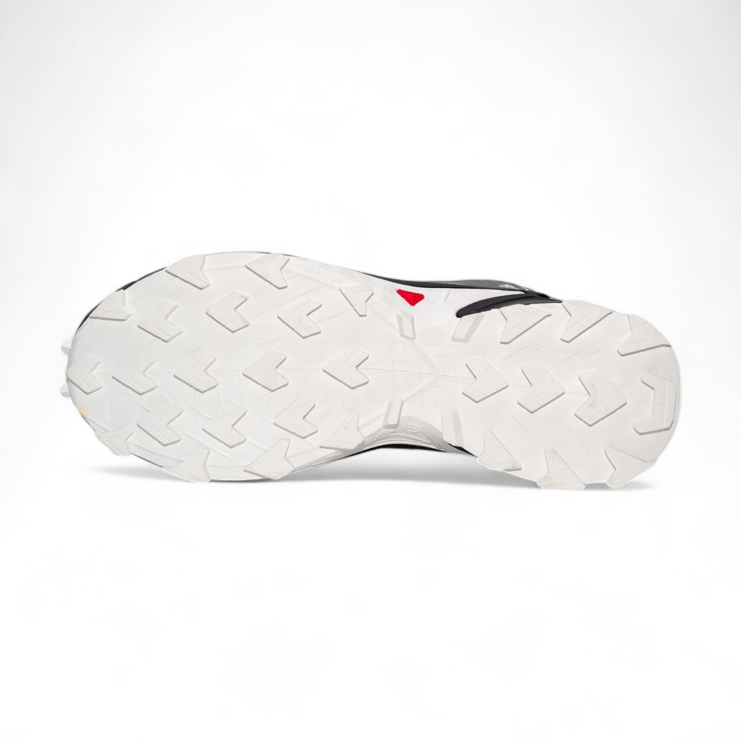 Running Shoes Adidas Terrex Trail ML - in grey