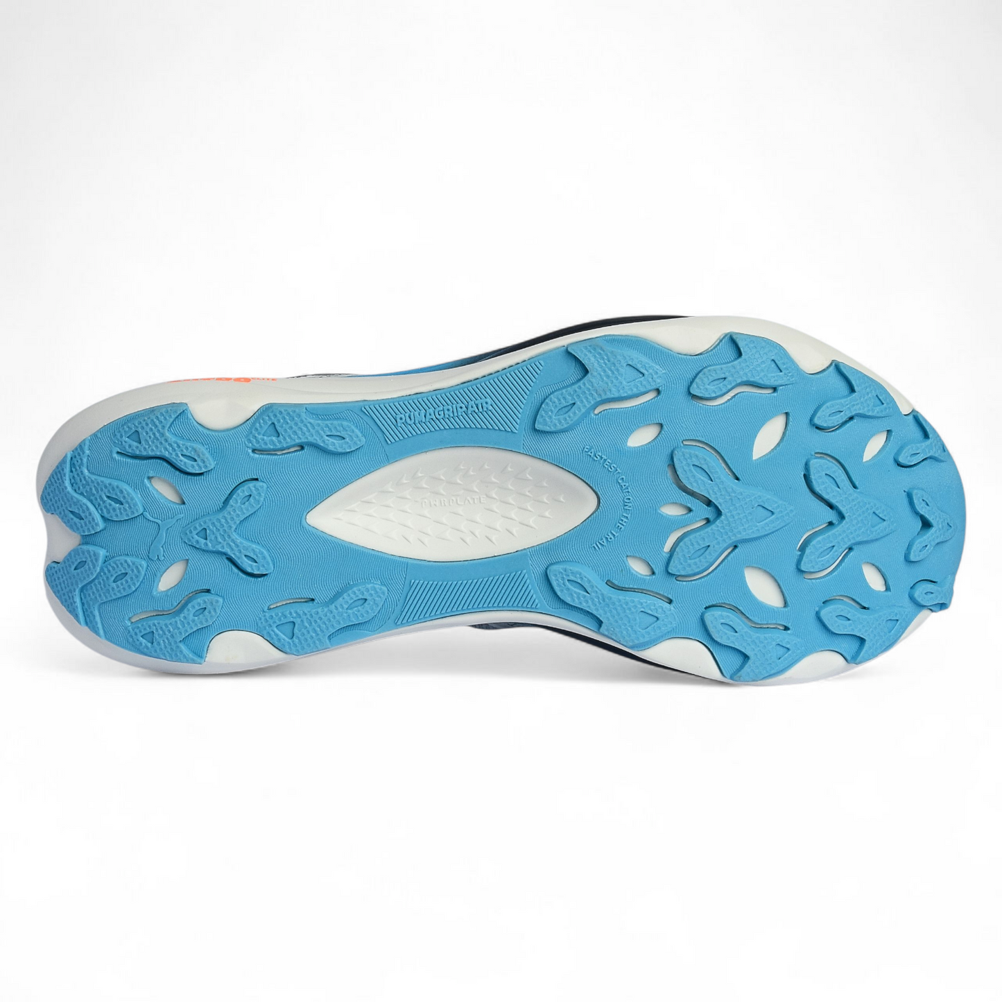 Puma SEASONS Deviate NITRO Elite Trail PD - in White