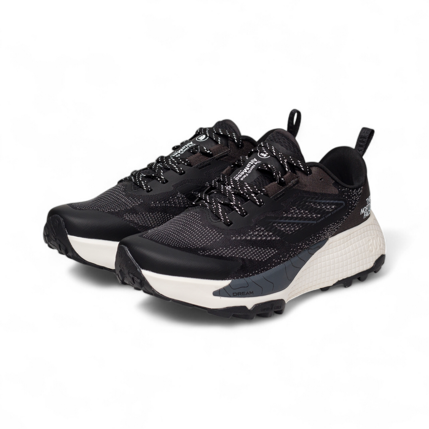 The north face Altamesa 500 running shoes NT - in black