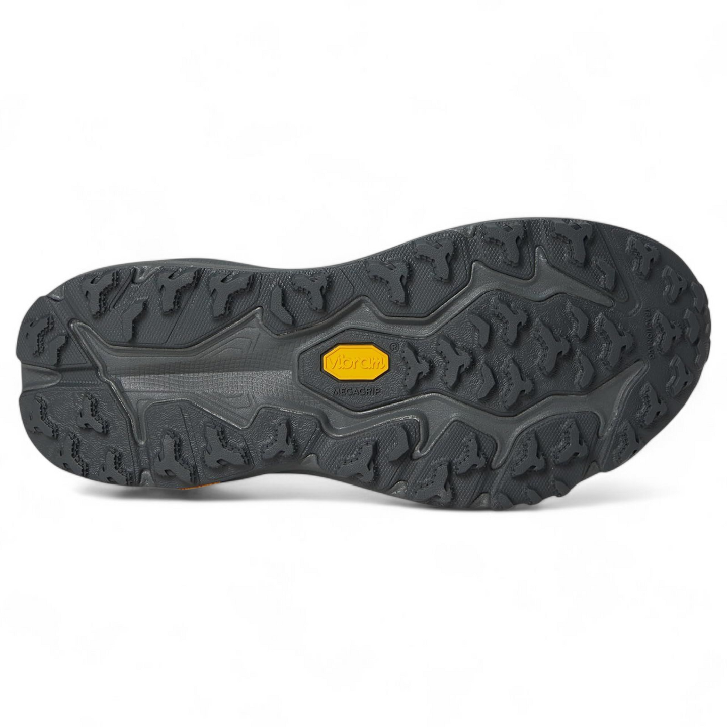 Athletic Shoes Hoka Speedgoat 6  - OAT - in Grey